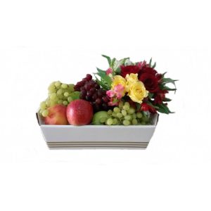 Cesta Tropical