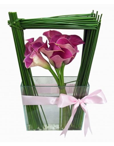 Arranjo Calla