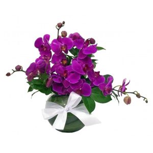 Arranjo com Orquídeas