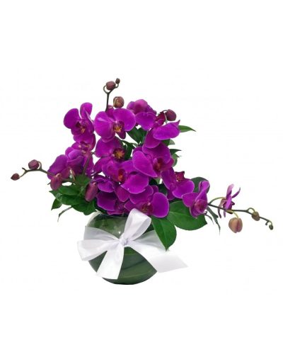 Arranjo com Orquídeas
