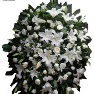 Coroa Nobre