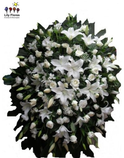 Coroa Nobre