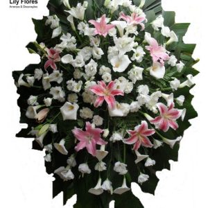 Coroa Standard
