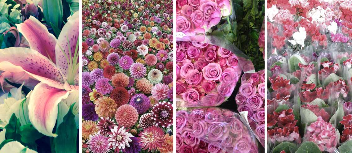 Buquê de Flores na Santa Cecília, São Paulo – SP